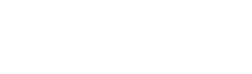 Thesys IT Services